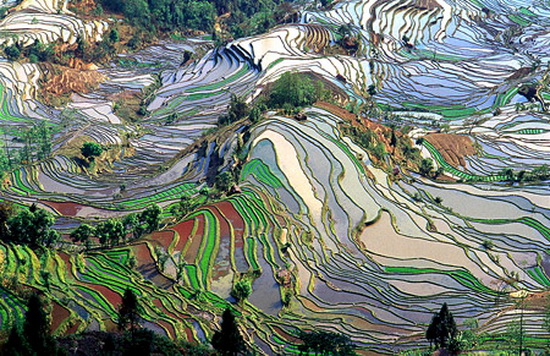 http://k14.vcmedia.vn/Images/Uploaded/Share/2011/01/22/110125cl2thiennhien-1.jpg