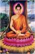 Phat Thich Ca ngoi.jpg