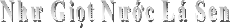 Như Giọt Nước Lá Sen