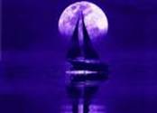 http://t3.gstatic.com/images?q=tbn:2XsXqTIYEHTtvM%3Ahttp://minhchausoibien01.tripod.com/sitebuildercontent/sitebuilderpictures/thuyentrangvn.jpg