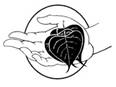 http://www.phatgiaodaichung.com/Pics/logotree.jpg