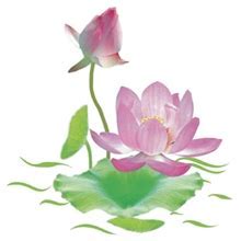 Image result for LỊCH SINH HOẠT PHẬT GI�O